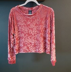 Velvet Rose Floral Burnout Crop Pullover
